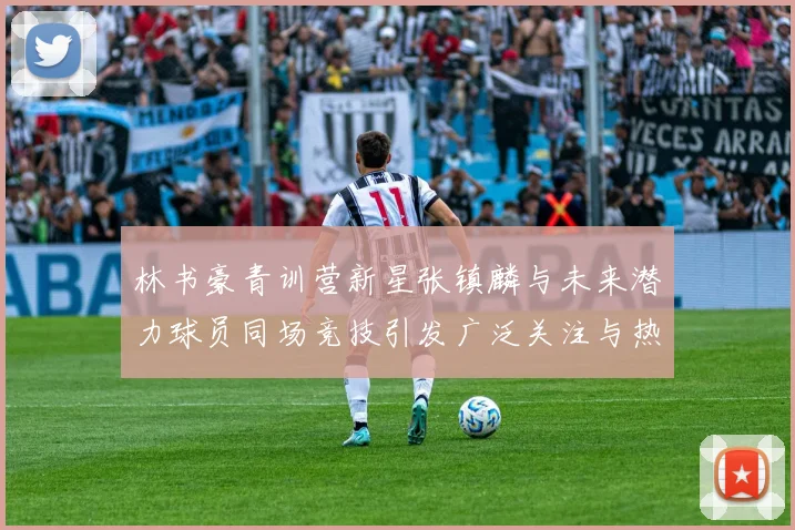 林书豪青训营新星张镇麟与未来潜力球员同场竞技引发广泛关注与热议